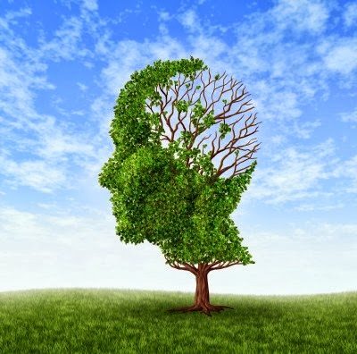 walking boosts memory.