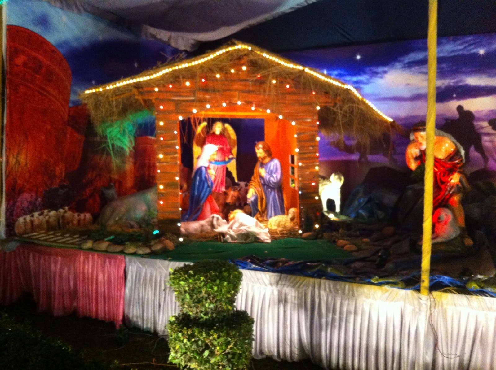 Nativity at Sacred Heart Church Delhi
