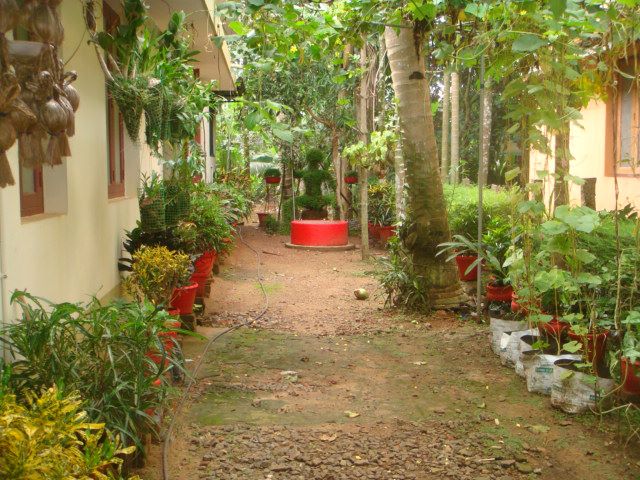 terrace farming