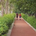 A DAY IN THE PARK AND YOGA