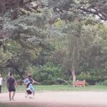 A DAY IN THE PARK AND YOGA