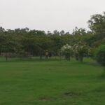 A DAY IN THE PARK AND YOGA