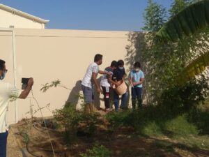 Tree planting on Environment Day