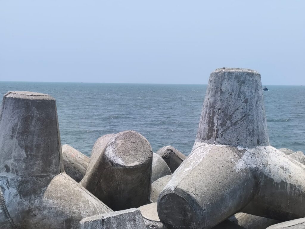 Dolphin point at Valiyazheekal beach