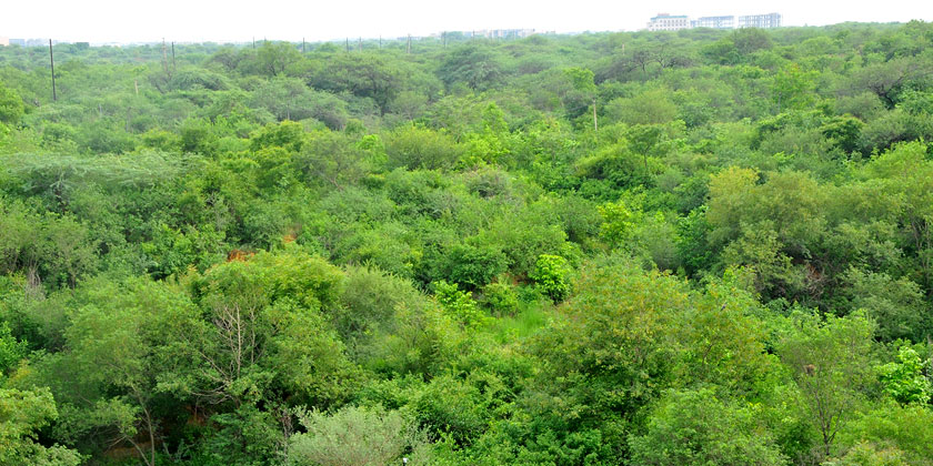 Biodiversity Parks in Delhi