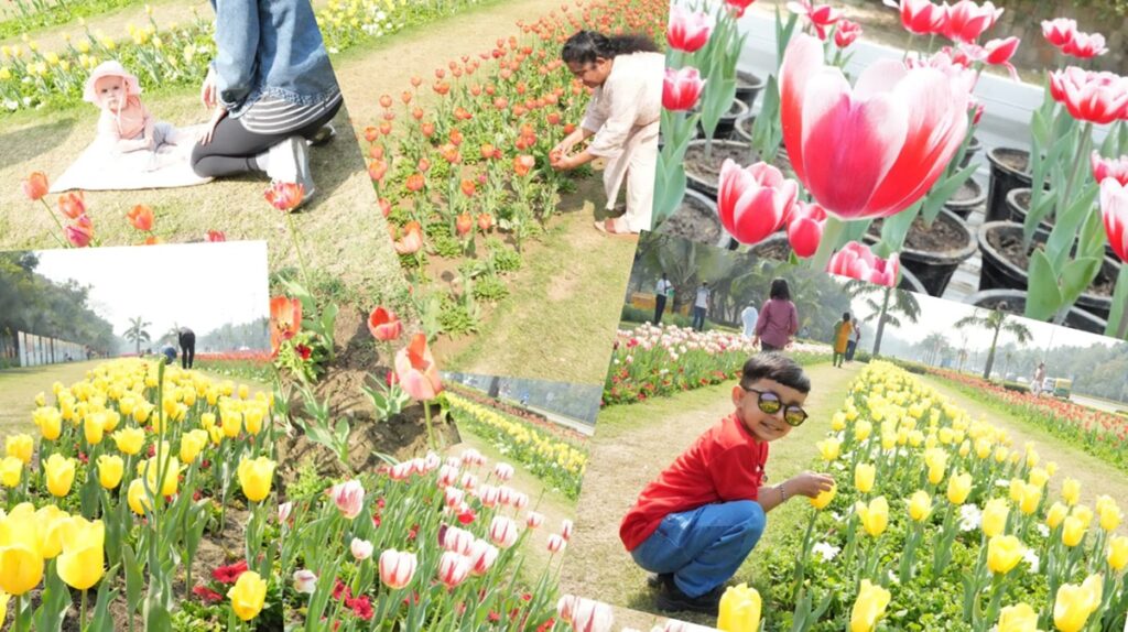 Tulip Festival Shanti Path