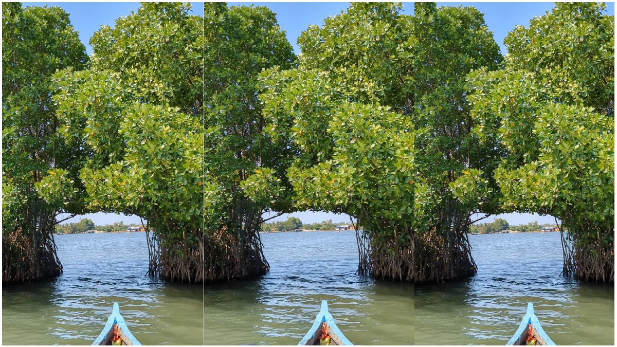 Munroe Island: A Living Laboratory for Climate Change
